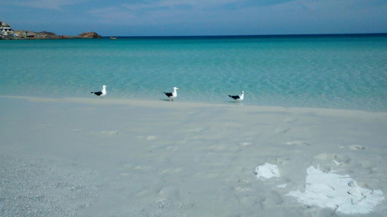 Suites Recanto Cama E Cafe Arraial do Cabo Eksteriør billede